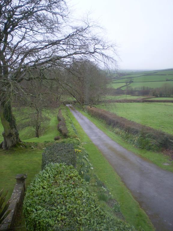 Buckley Farmhouse B & B Sidmouth Extérieur photo