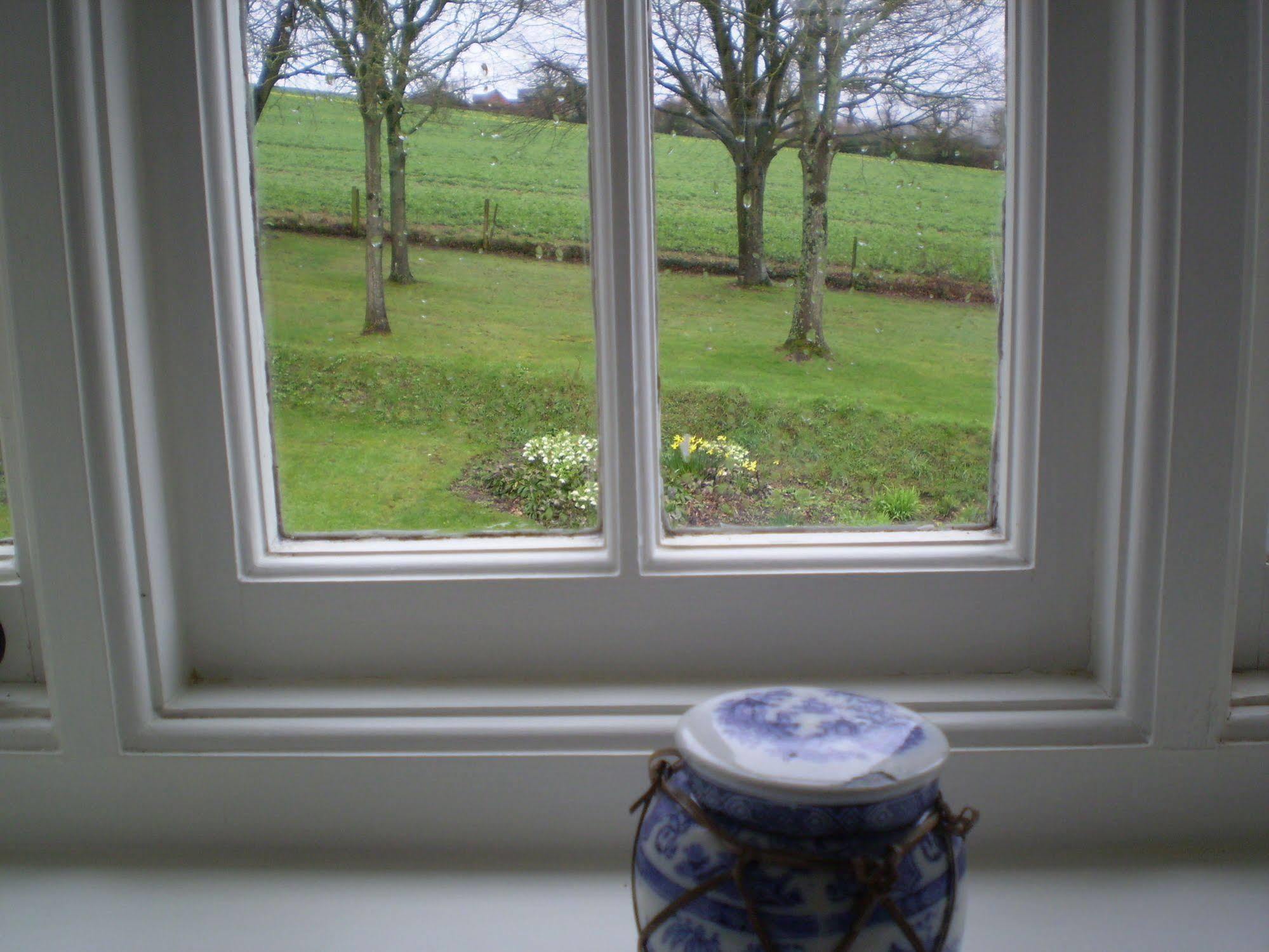 Buckley Farmhouse B & B Sidmouth Extérieur photo